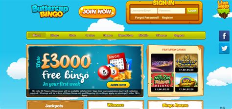 Buttercup bingo casino download